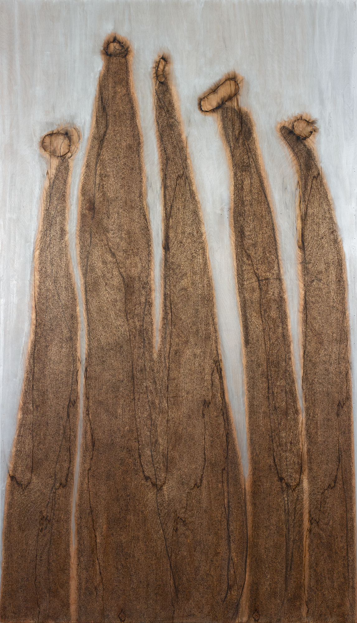 "Five Explorers" 2020