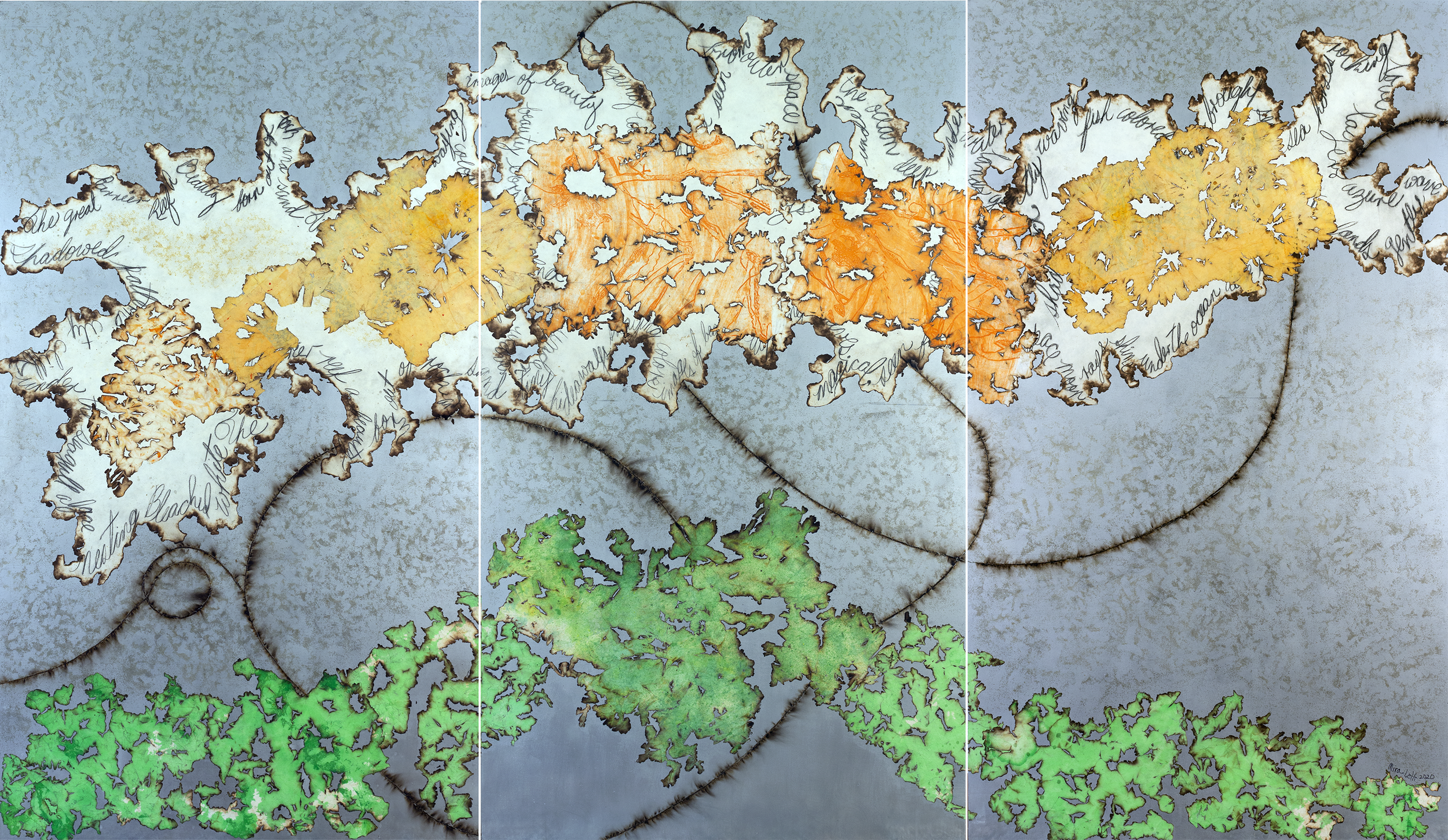 "Great Barrier Reef" 2020