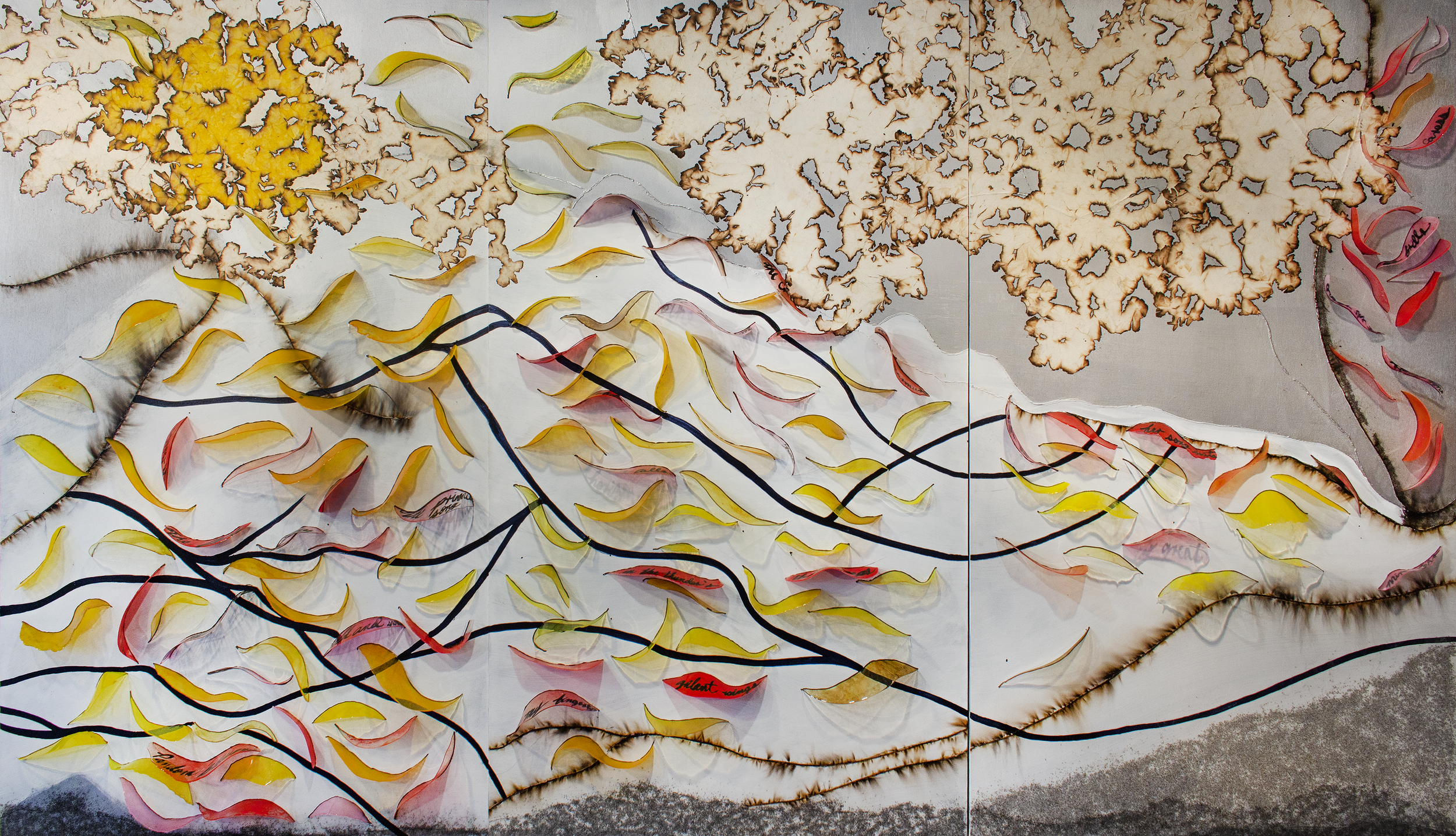 "Pandora Blossoms" 2020