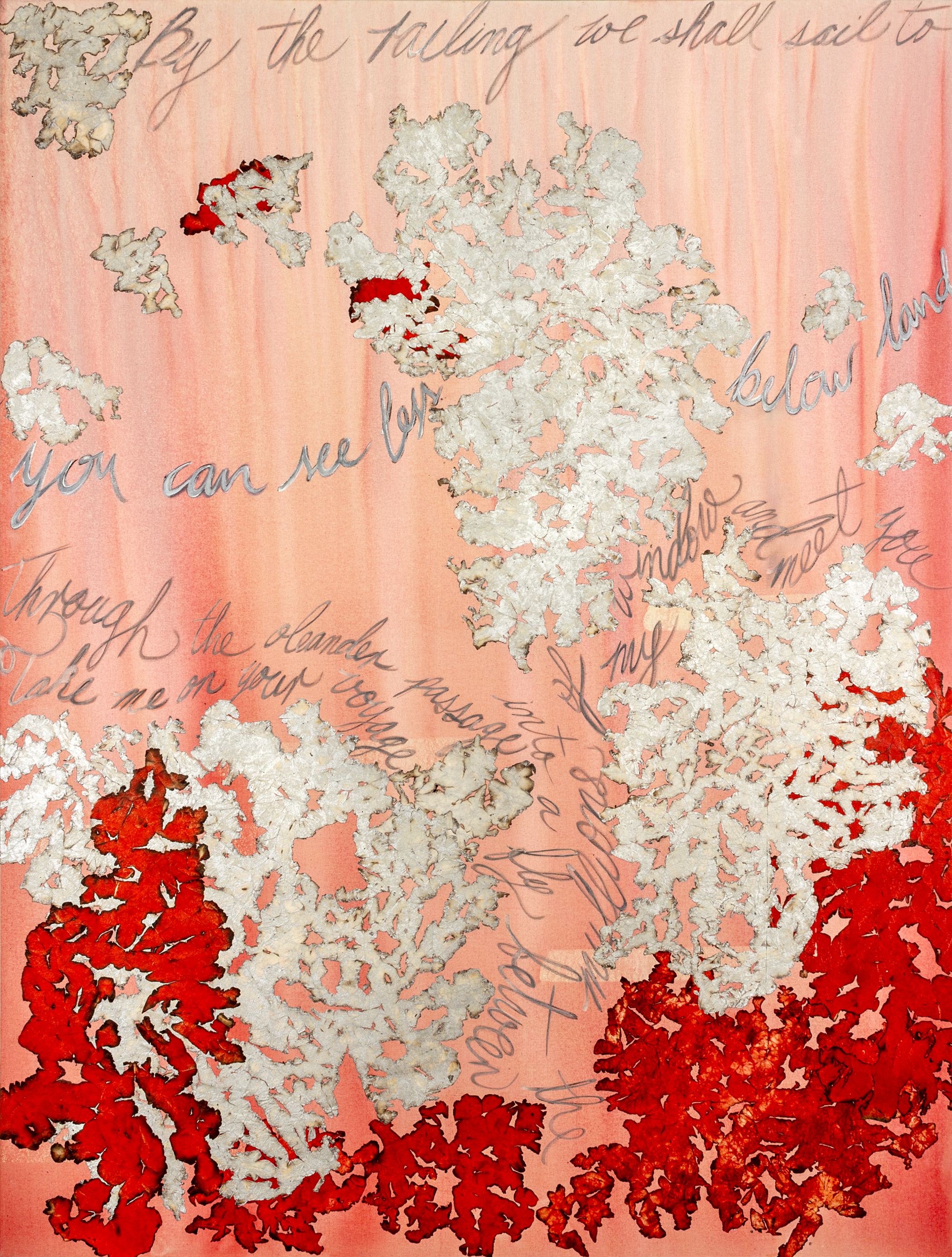 "Through the Oleander Passage" 2020