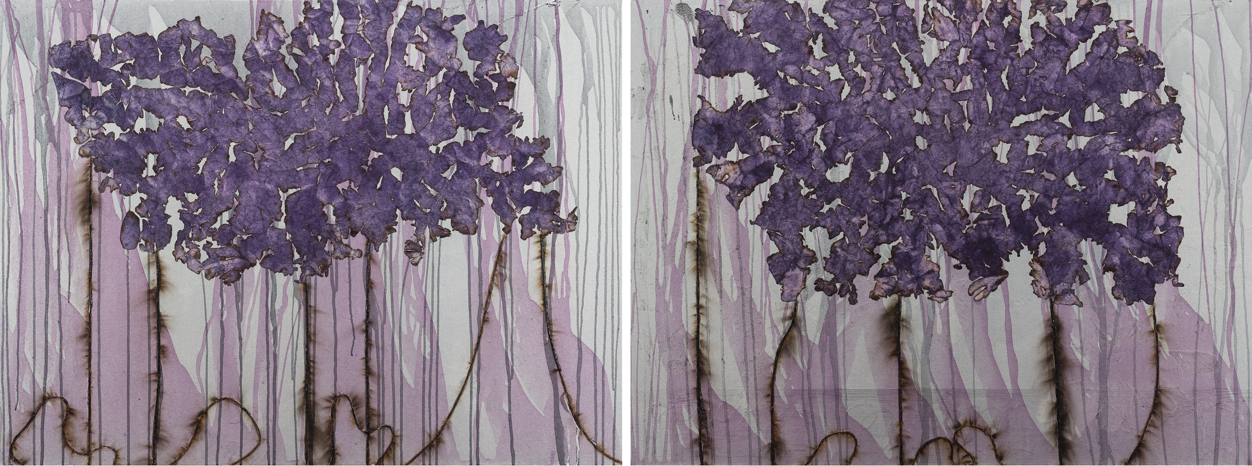 "Concordia 1&2 " 2021