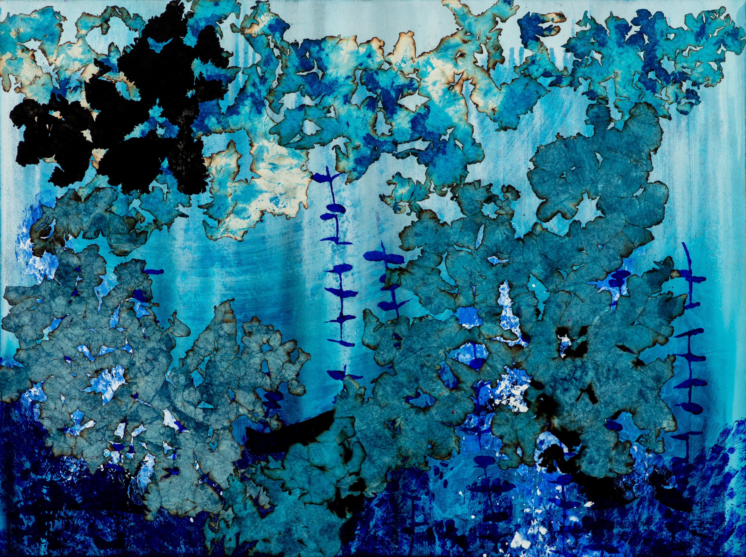 "Blue Kelp Forest" 2022