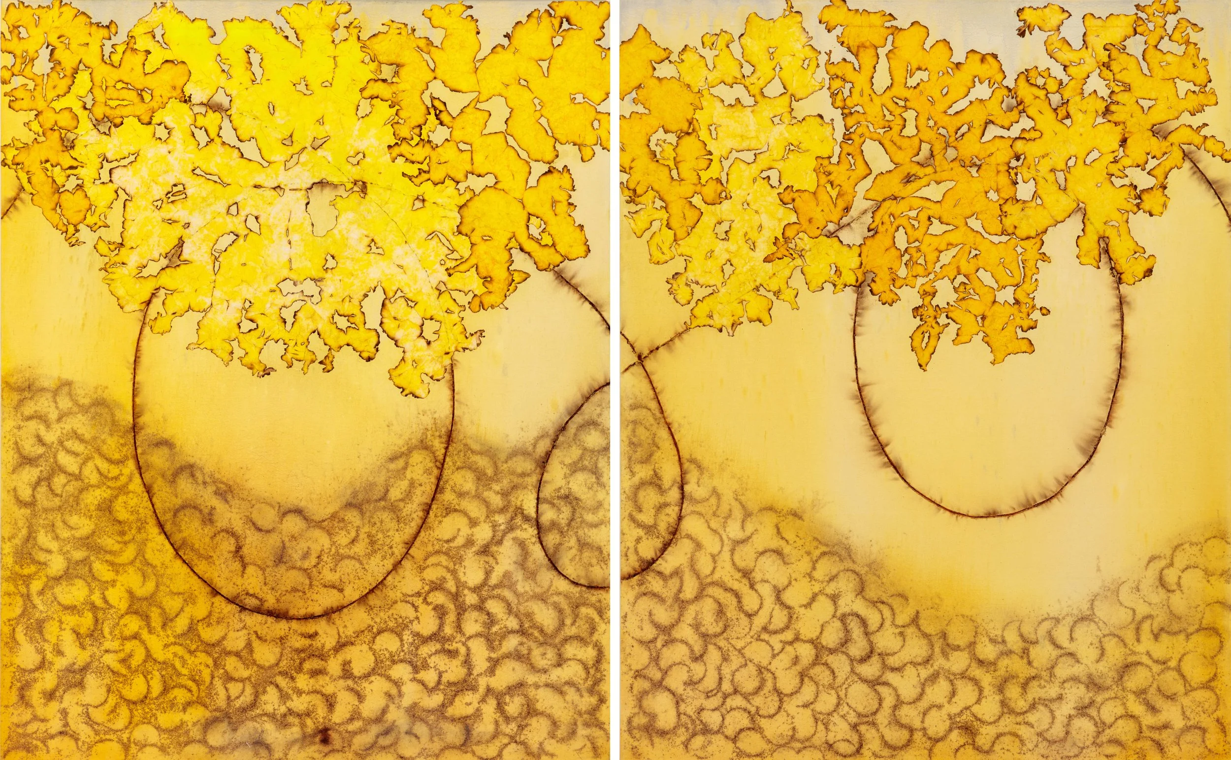 "Swirling Suns" 2022