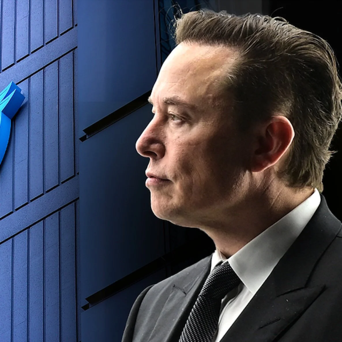 Elon Musk's Twitter Takeover