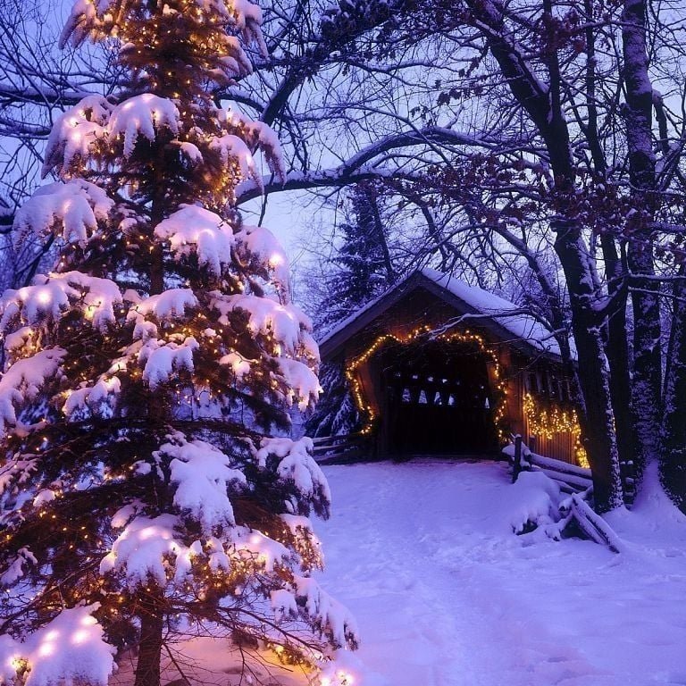 What Does Galloway think about the Holidays