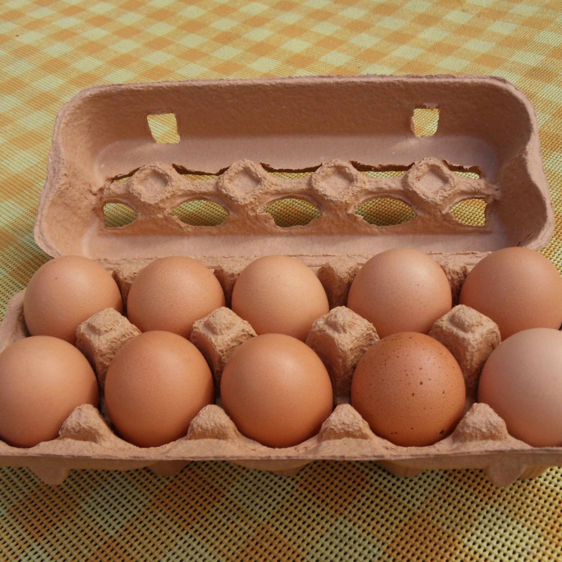 Rising Egg Prices