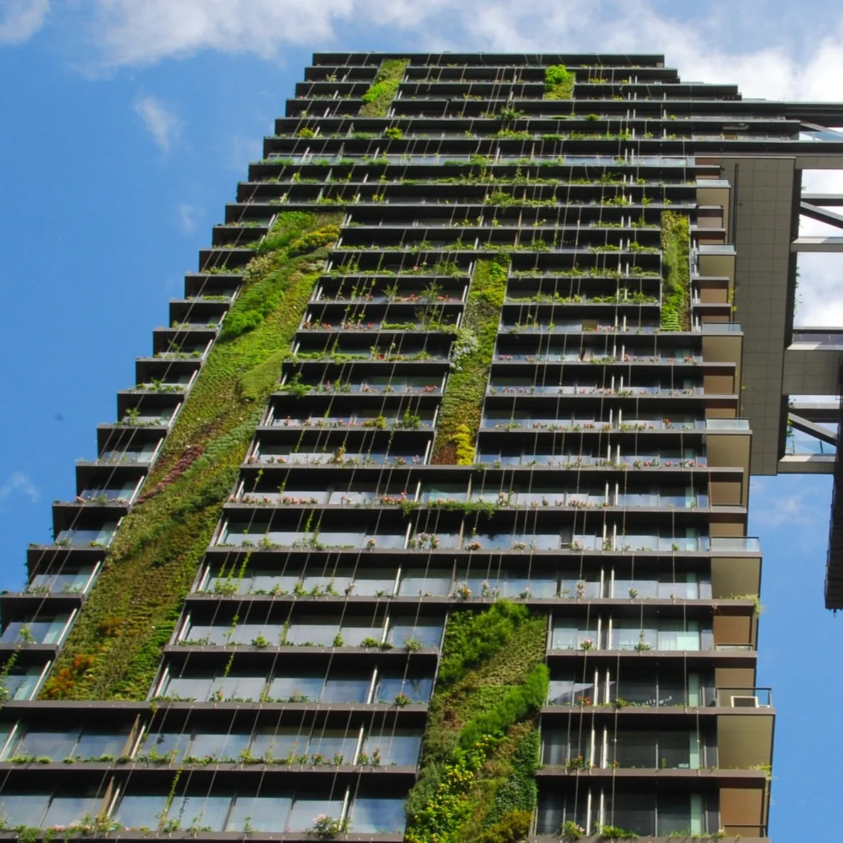 The Potential of Green Architecture