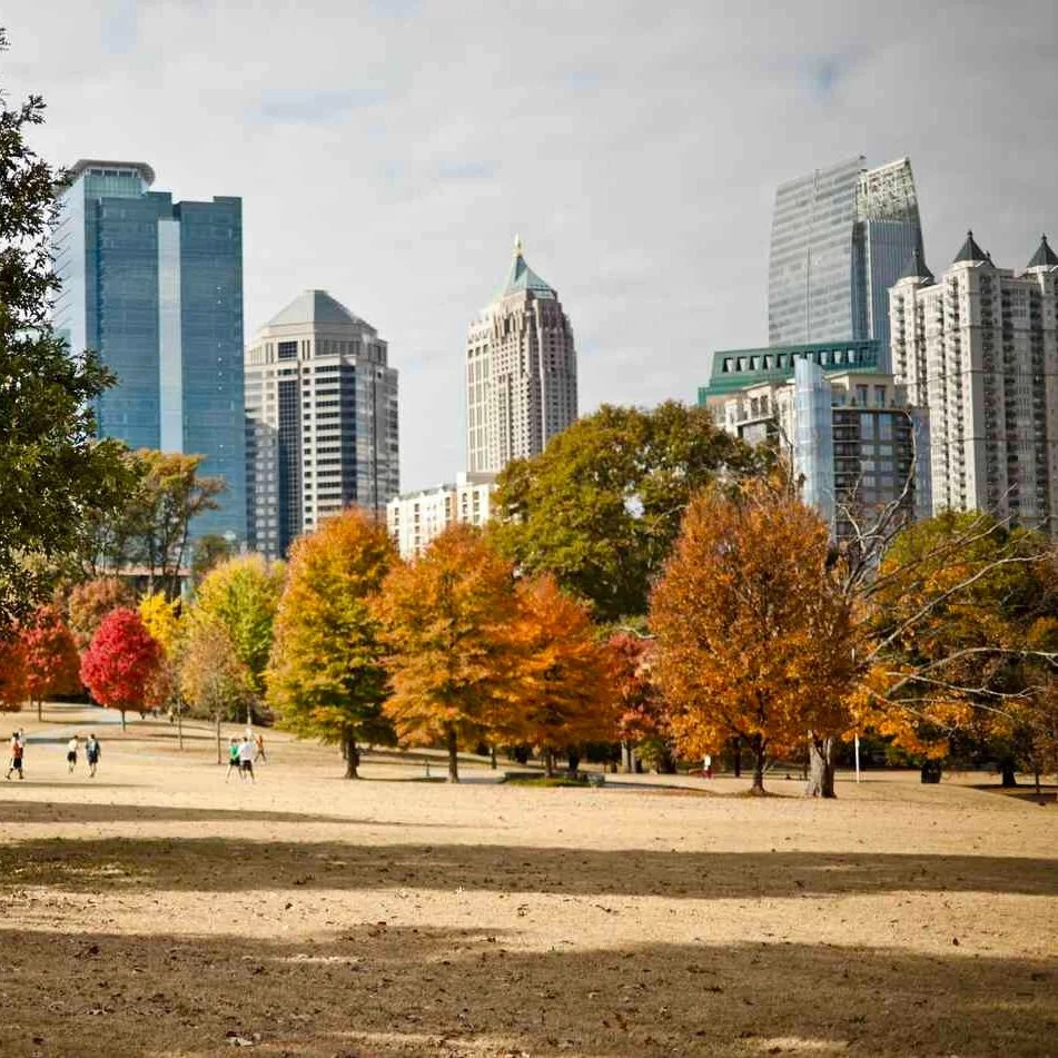 What's Missing: Fall in Georgia 