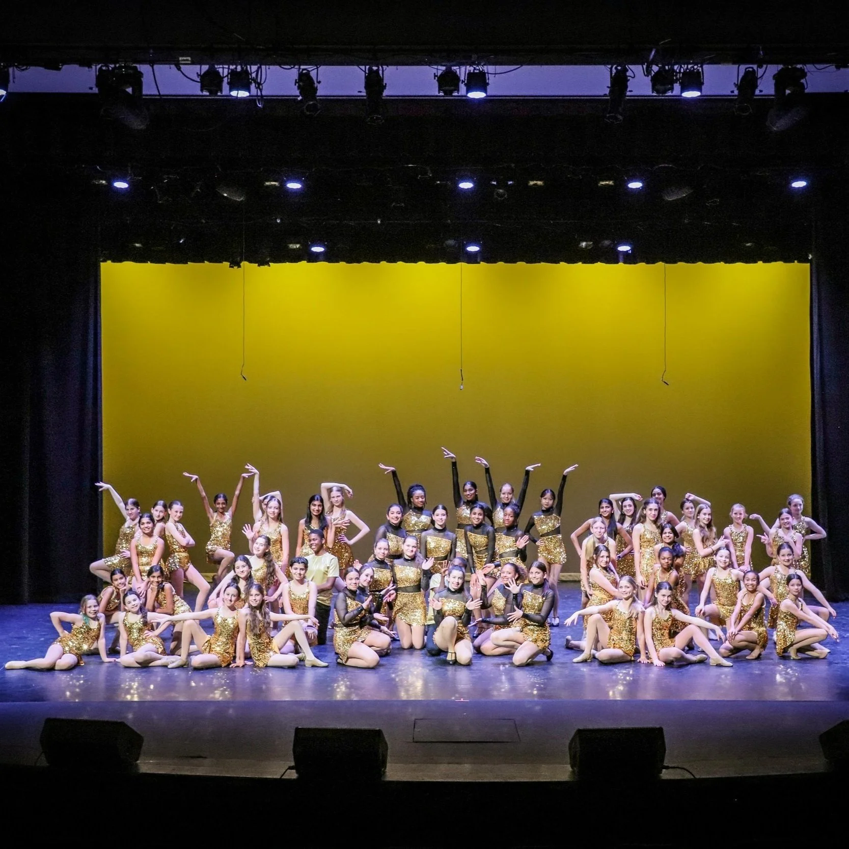 Dance Ensemble Preparation/Show