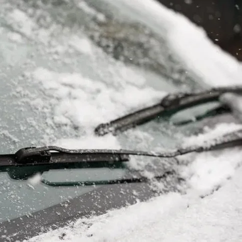Arctic Blast: Record Cold in Georgia