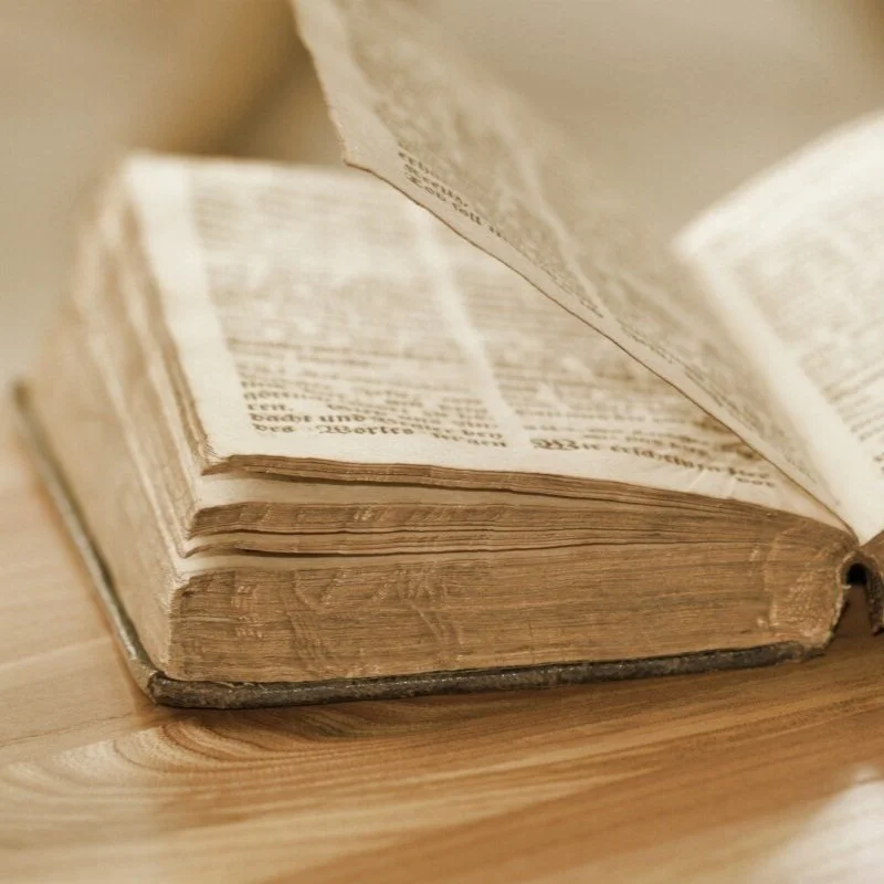 Classic Literature and Education