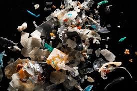 The Growing Concern and Impact of Microplastics