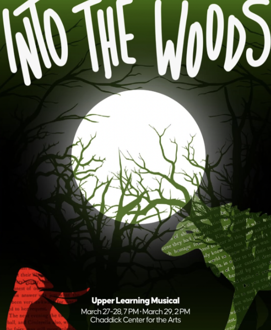 Review of Into the Woods (A Galloway Production)