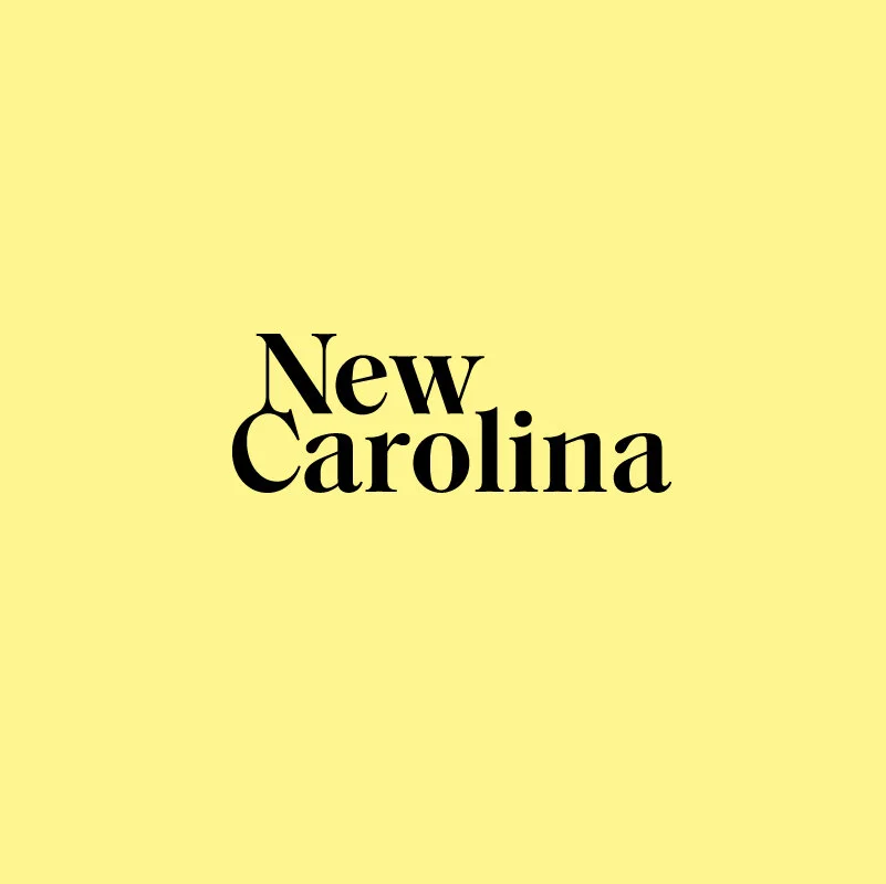 New Carolina, a curated show of contemporary design in NC