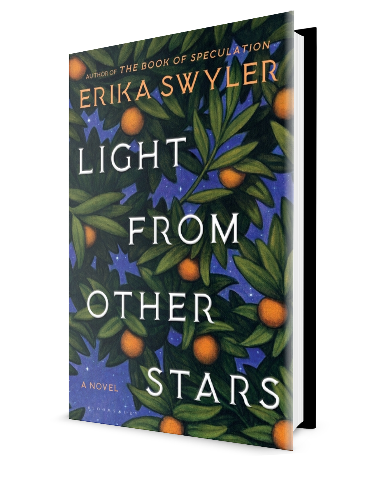 Light from Other Stars.PNG