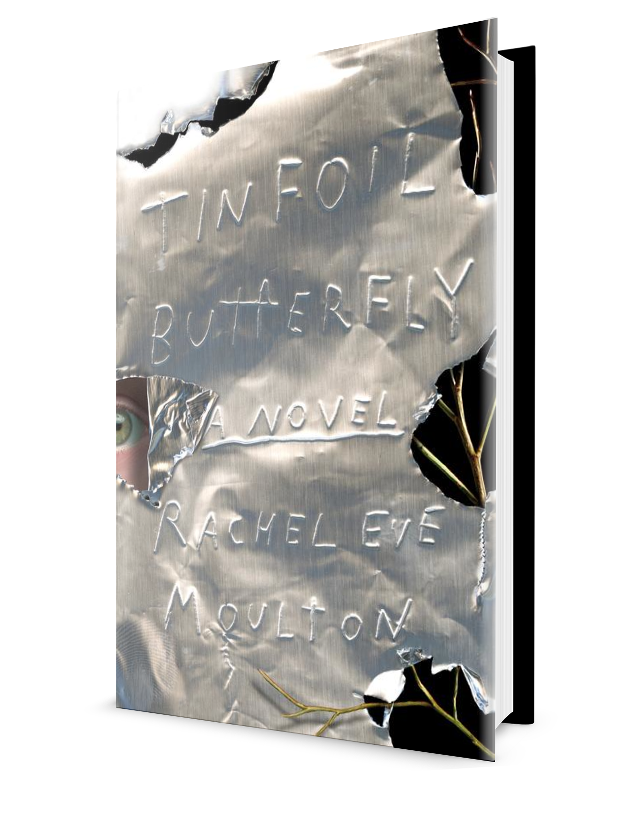 Tinfoil Butterfly.PNG