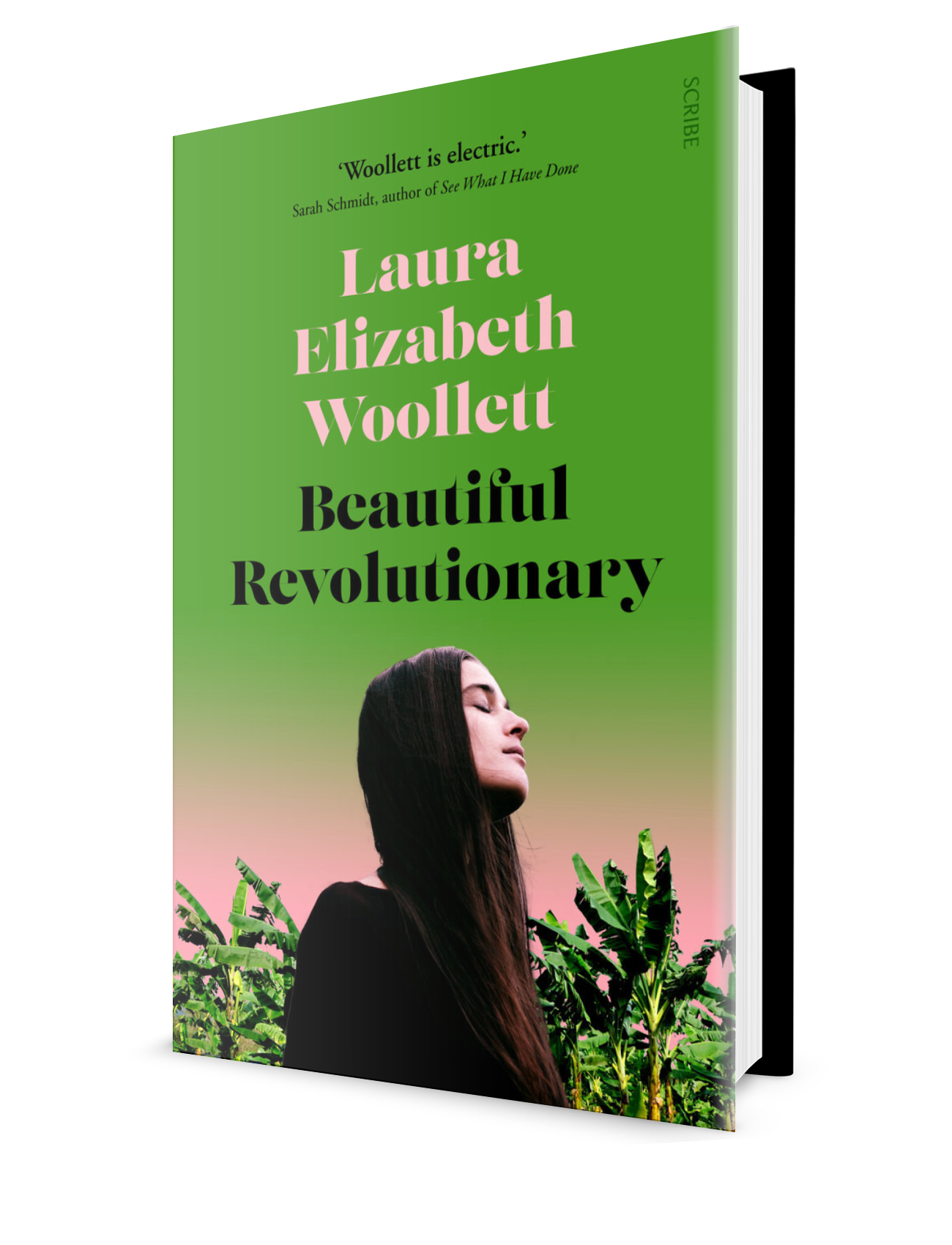 Beautiful Revolutionary.PNG