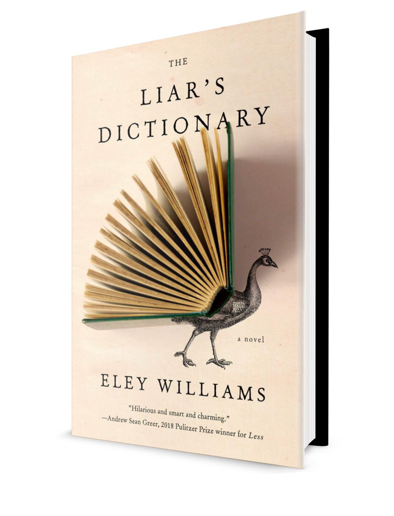 The Liar's Dictionary.PNG