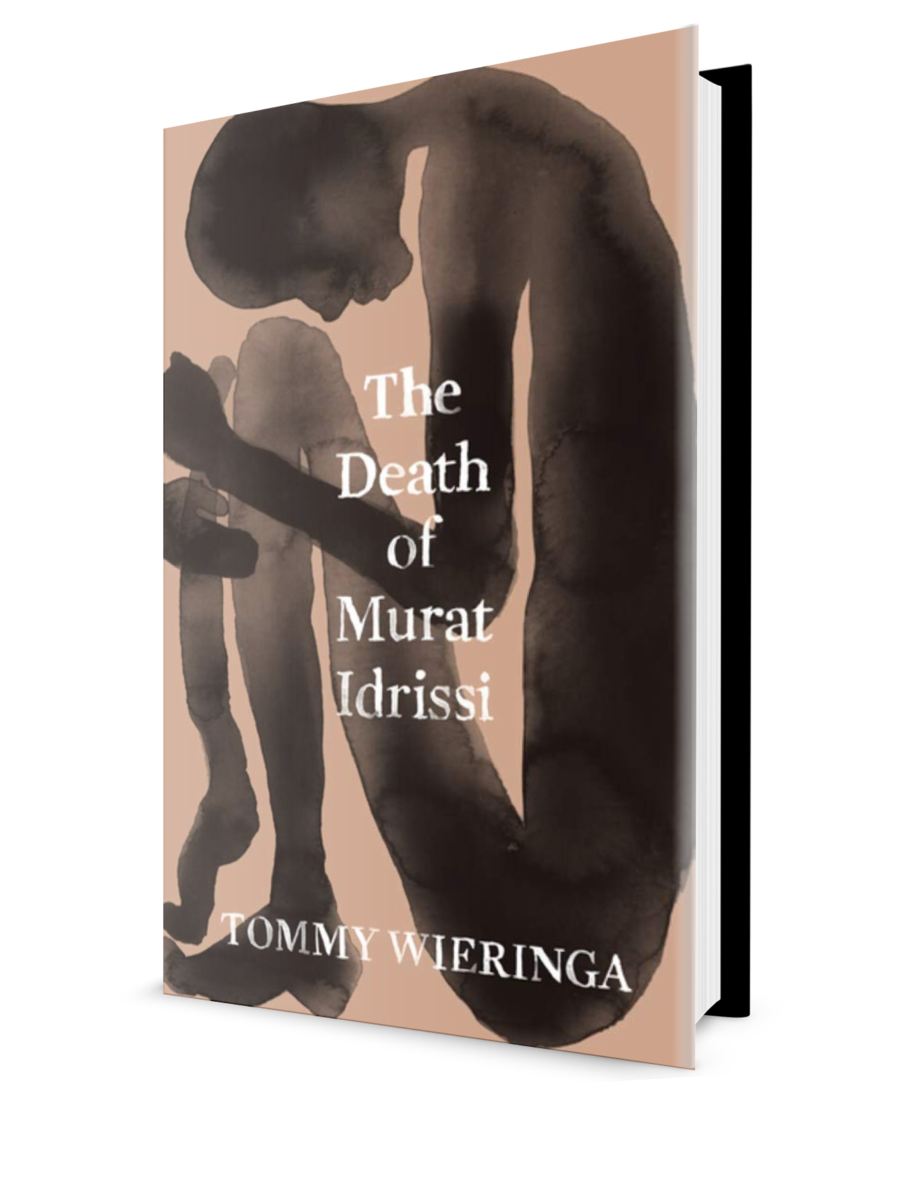 The Death of Murat Idrissi.png