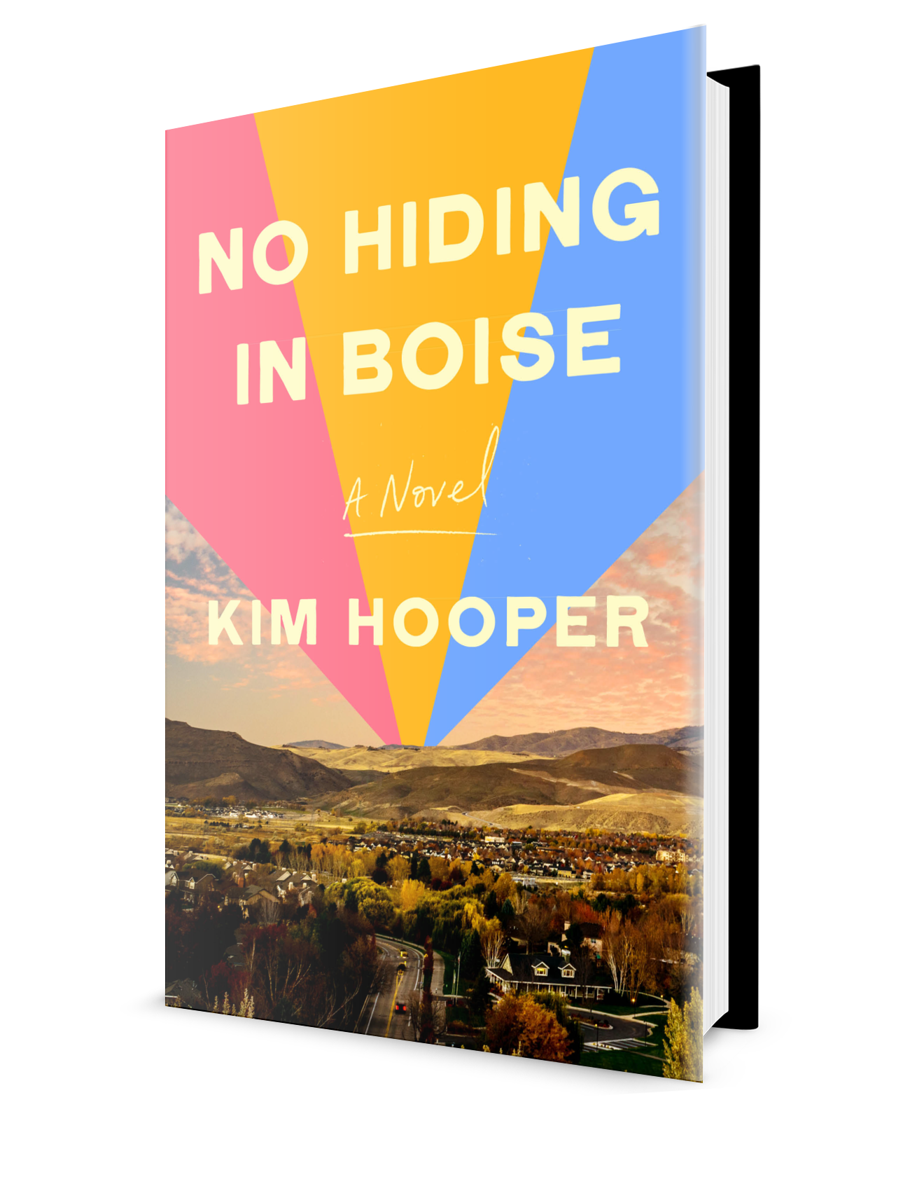 No Hiding in Boise.png