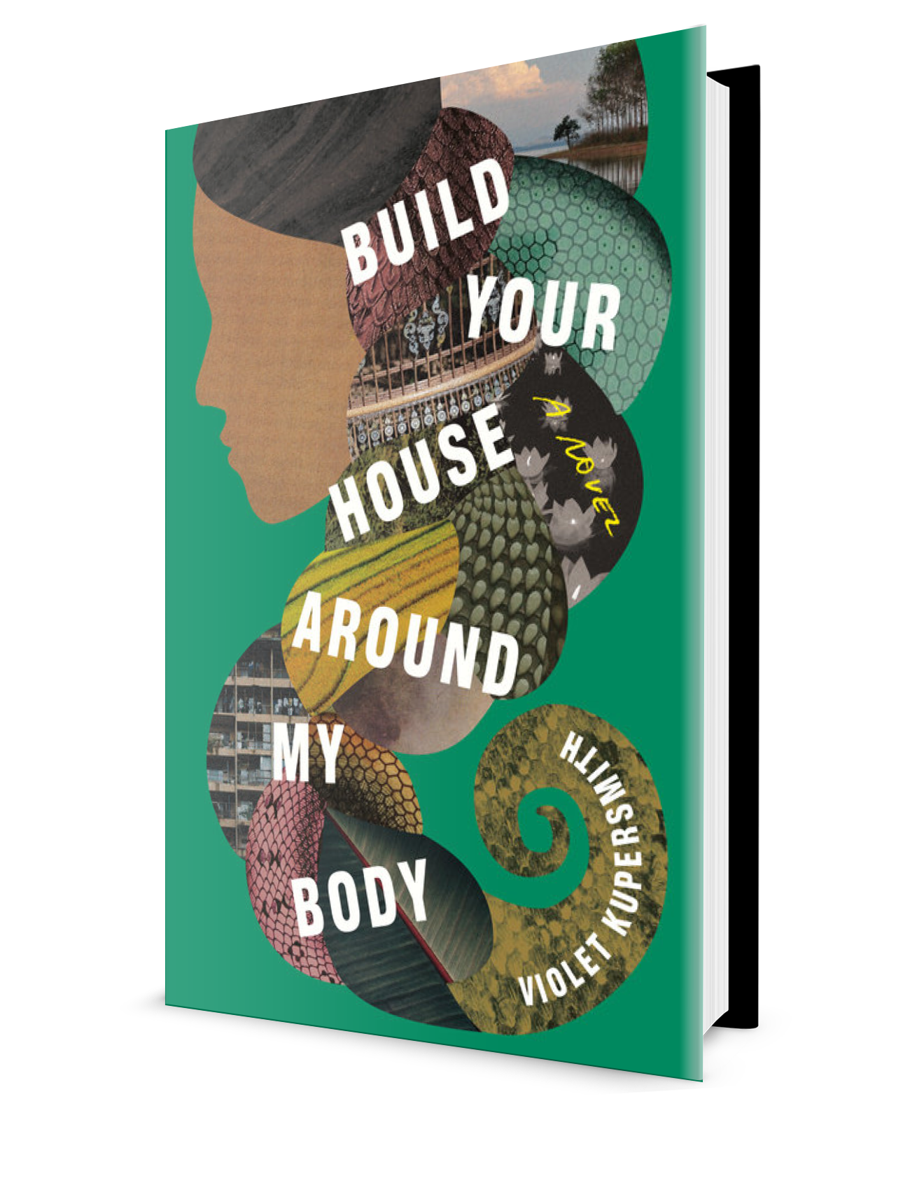 Build Your House Around My Body.png
