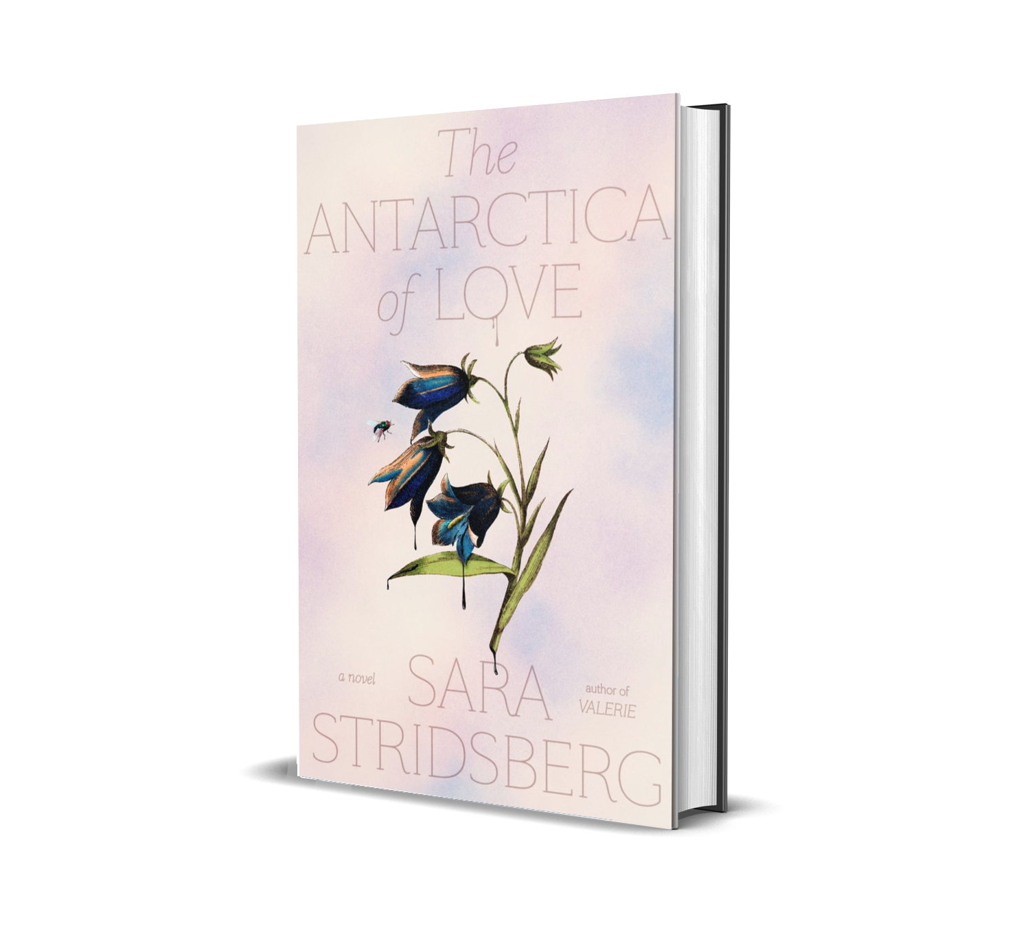 The Antarctica of Love.png