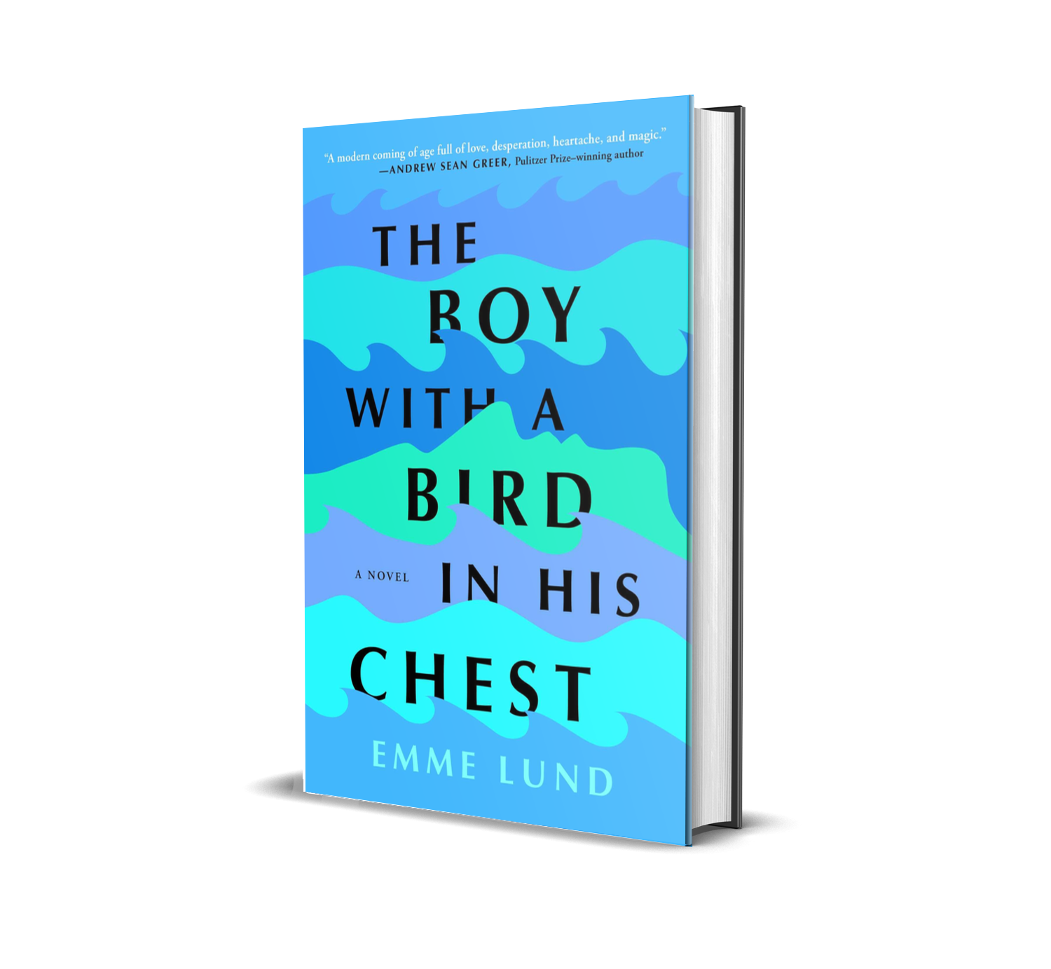 The Boy with a Bird in His Chest.PNG