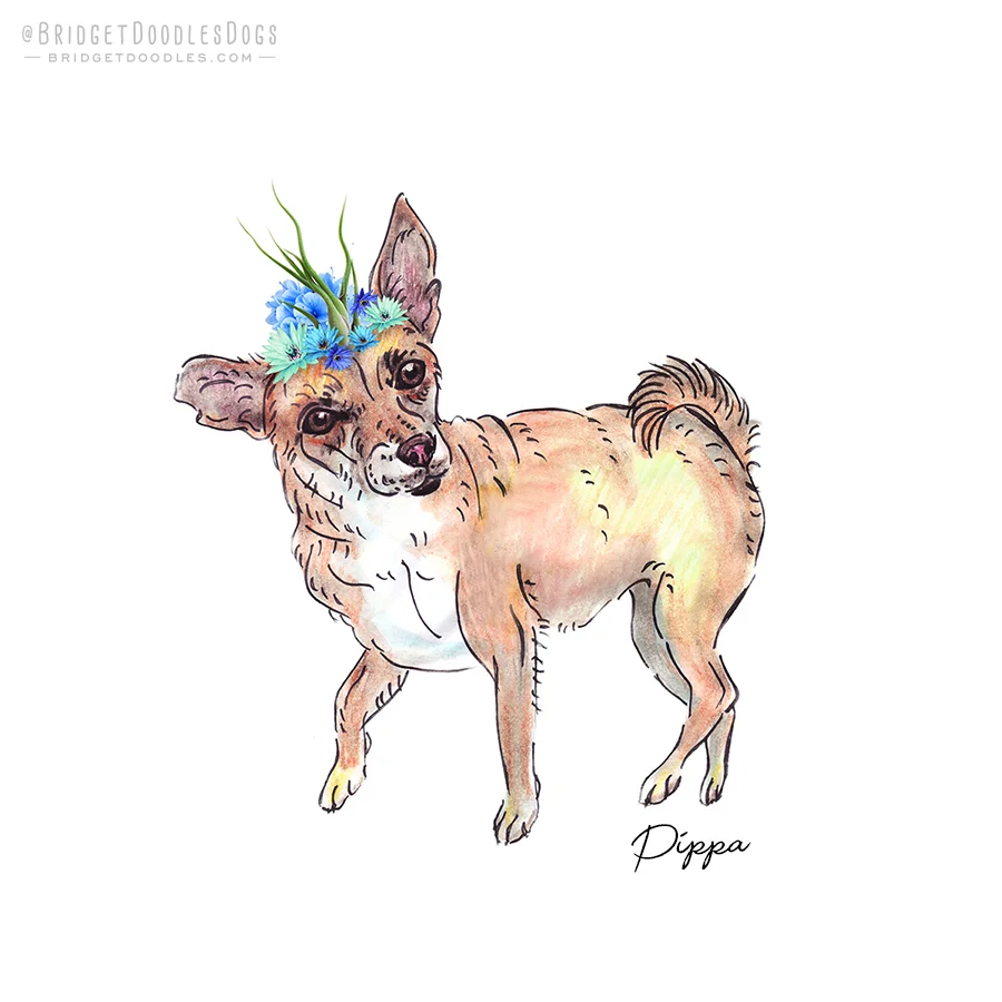 33pippa.jpg