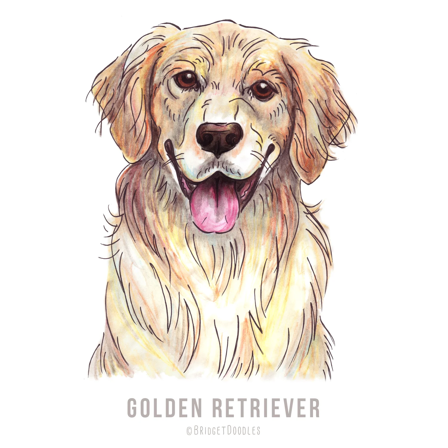 gallery-goldenretriever.jpg