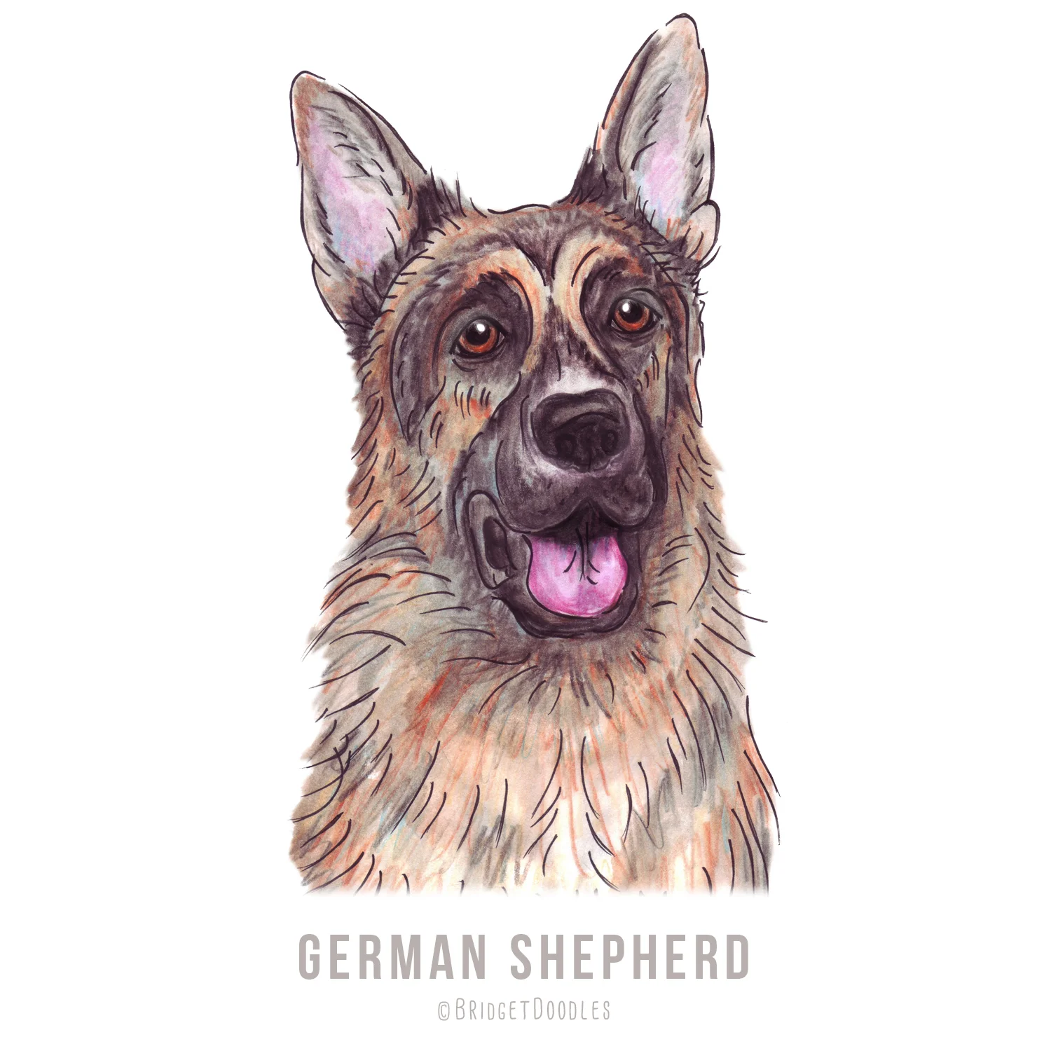 gallery-germanshepherd.jpg