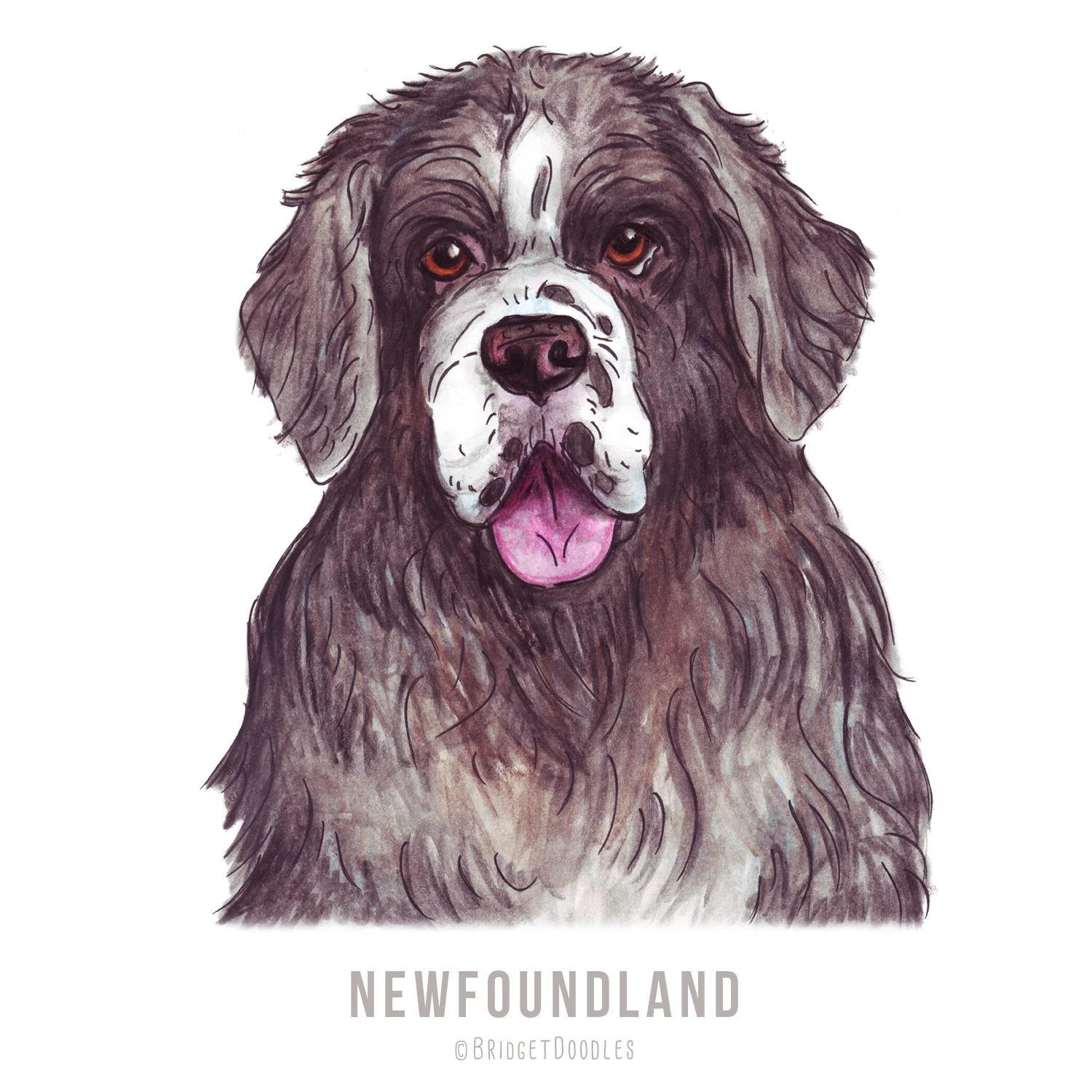 gallery-newfoundland.jpg