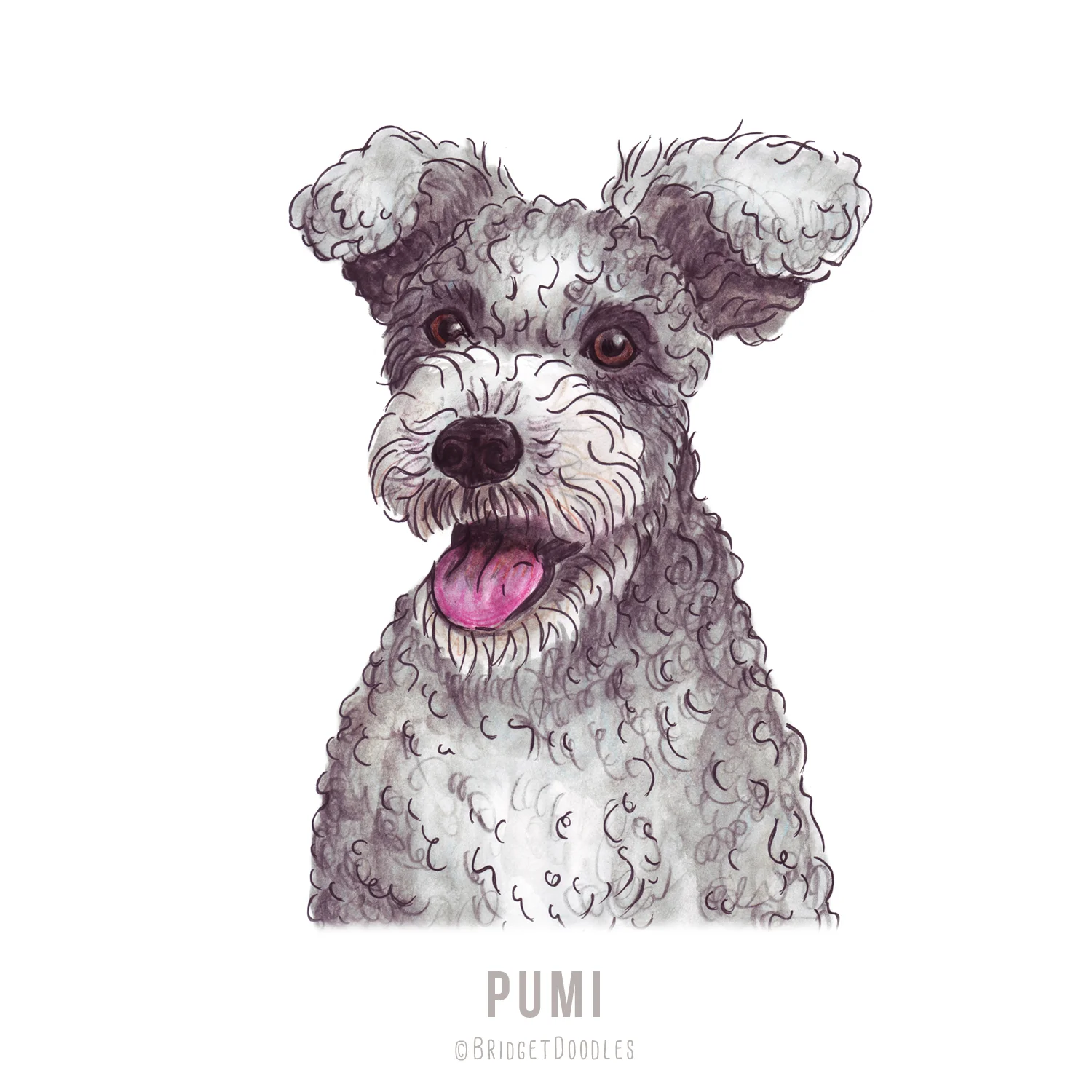gallery-pumi.jpg