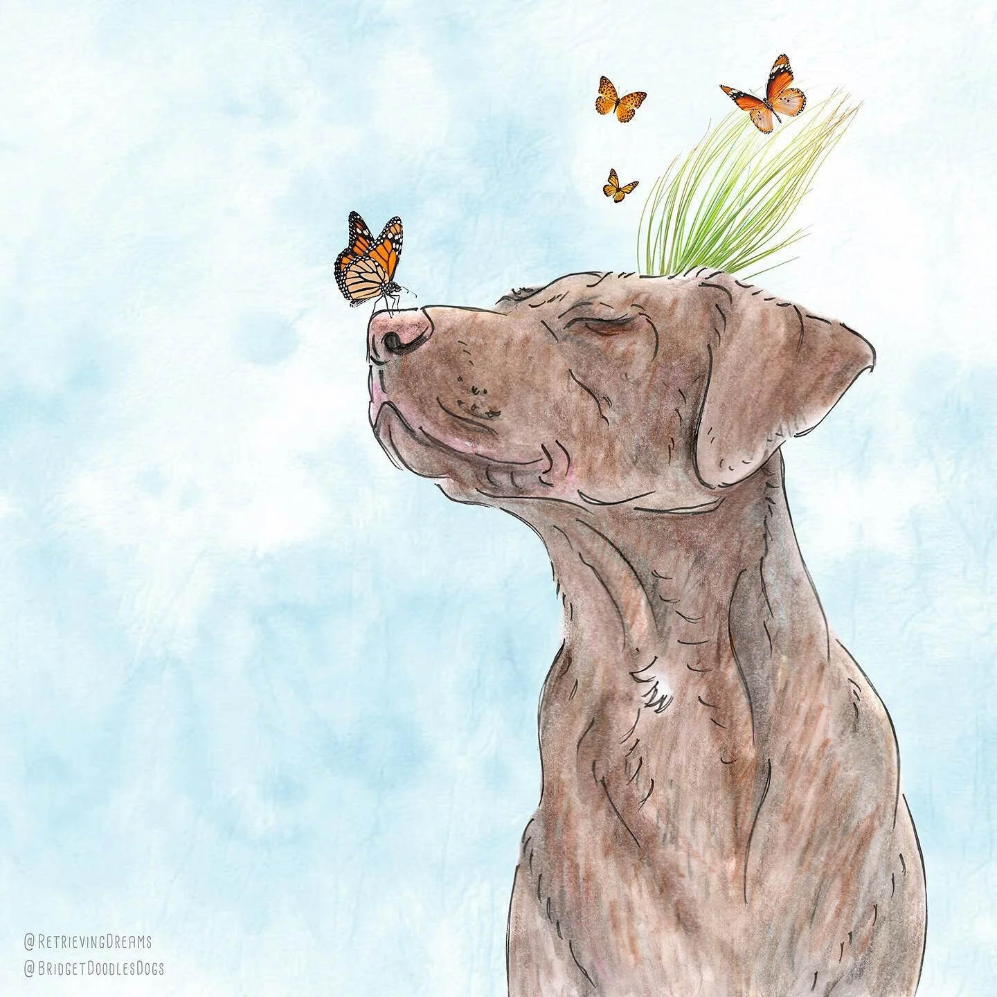 Stop and smell the butterflies! 
🦋🦋🦋
Your favorite doggie doodler (me! 😊) and her teacher-husband both got our 1st shots of the Moderna vaccine on Monday!!! 💪💪
#pawsome #teachersrock #lightattheendofthetunnel 
-------------------
Starring a sur