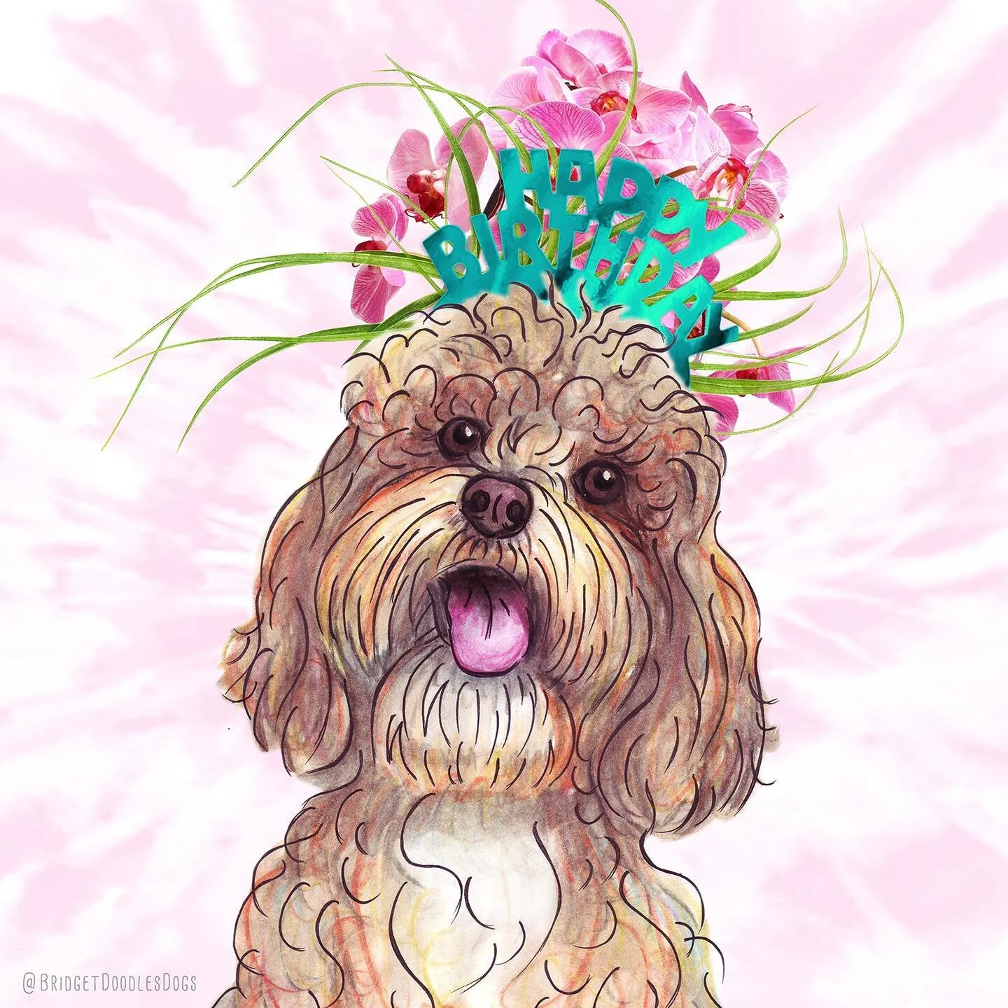 🎂 Here's a dad joke for my pal Koda's birthday party: 
Why don't ants get sick? 
Because they have little anty-bodies. 
😂🤣😂🤣
#laughingwithkoda #shecracksmeup
@kodastadt 
----------
☝️ note: This Cockapoo Doodle is a made-up generic pup, it&rsquo