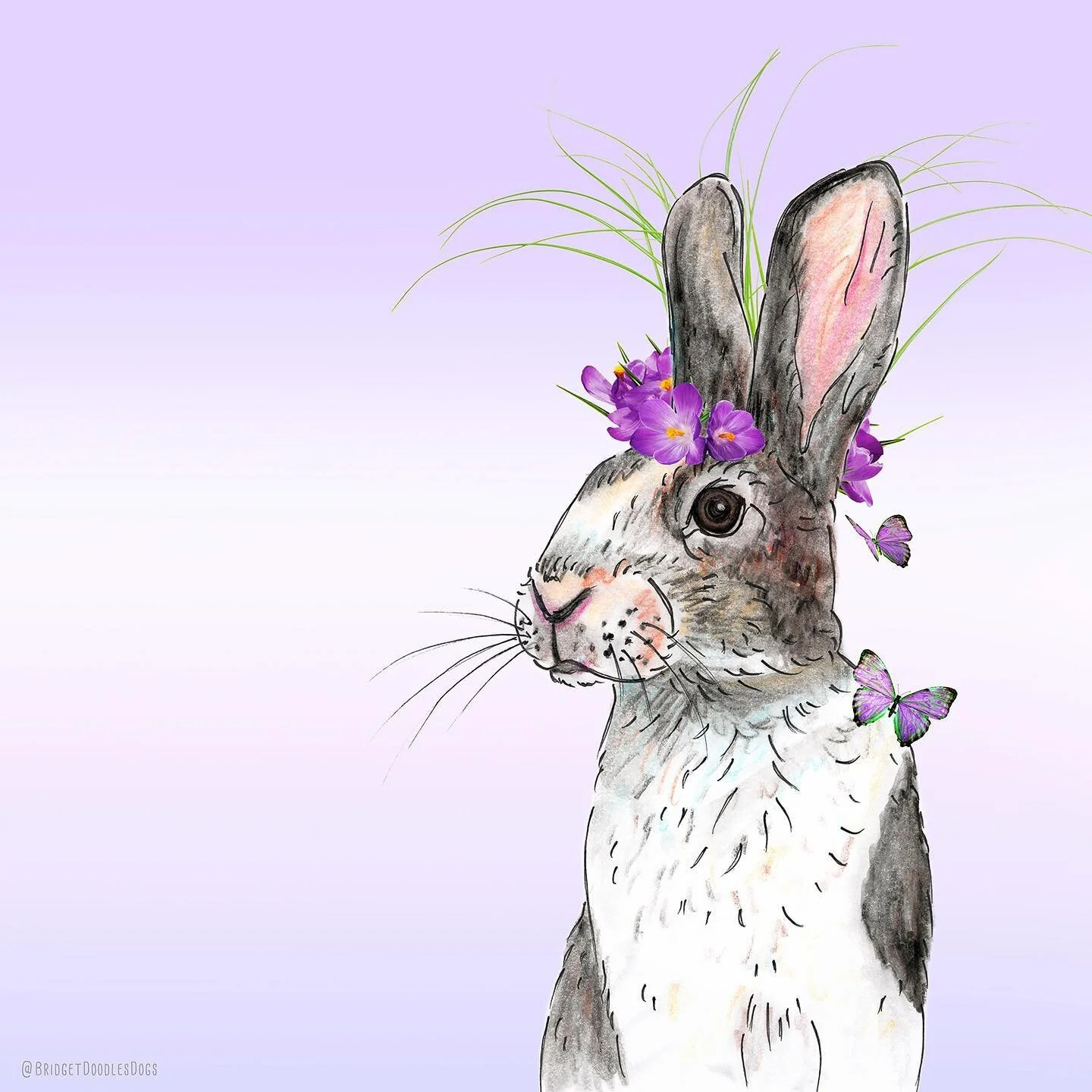 I am not a cat... 😂🤣 or a dog!
#iamnotacat 
-------
Yesterday's post inspired me to draw my first bunnydoodle. 🐰 I like how it turned out! Turns out that rabbit faces are not so different than dog faces... except the noses and ears! 👃👂 From the 