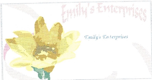 EmilysEnterprisesBusCardEdit.jpeg