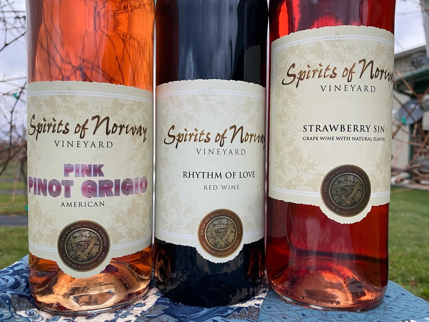 CAN WE BE FRIENDS 2022 New Wine Release — Spirits of Norway Vineyard