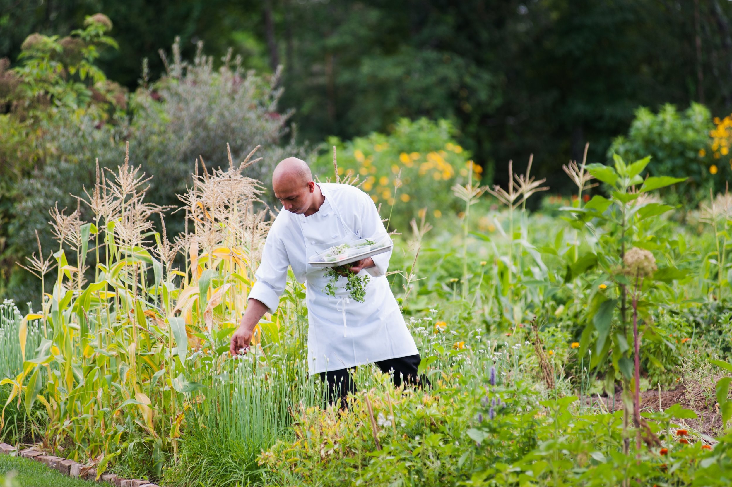 Copy of Chef Patrick in Garden 1 - Winvian Farm.jpg