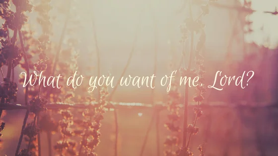 Highlights of the Week: Nov. 19 - 24