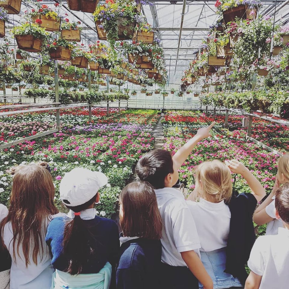 Highlights of the Week: June 17 - 21