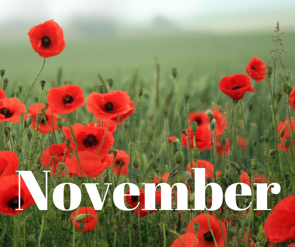 November 2019 Newsletter