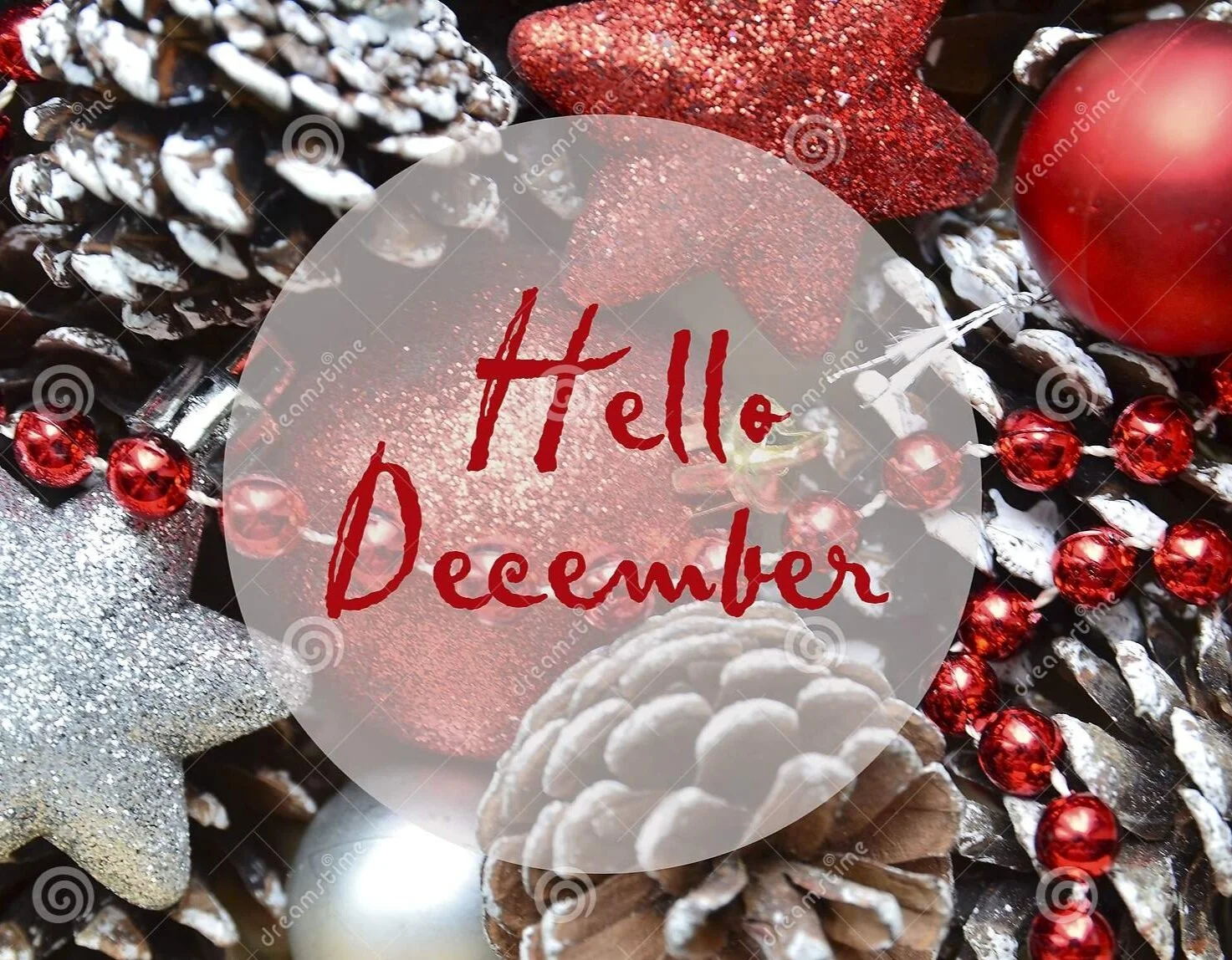 St. Mary's School Highlights December 16-20 &amp; Winter Break Info