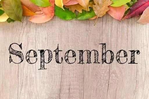 September 2020 Newsletter