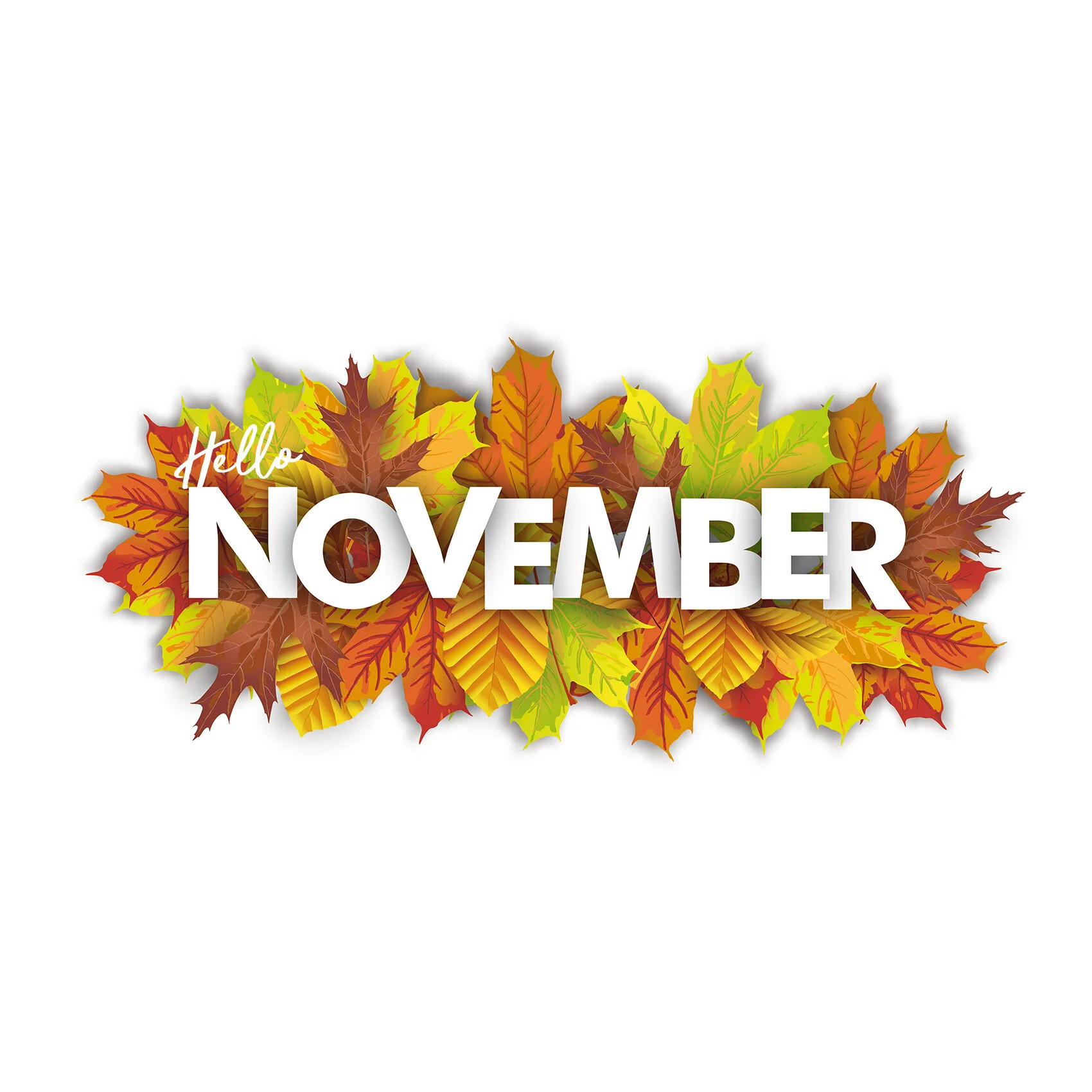 November 2020 Newsletter