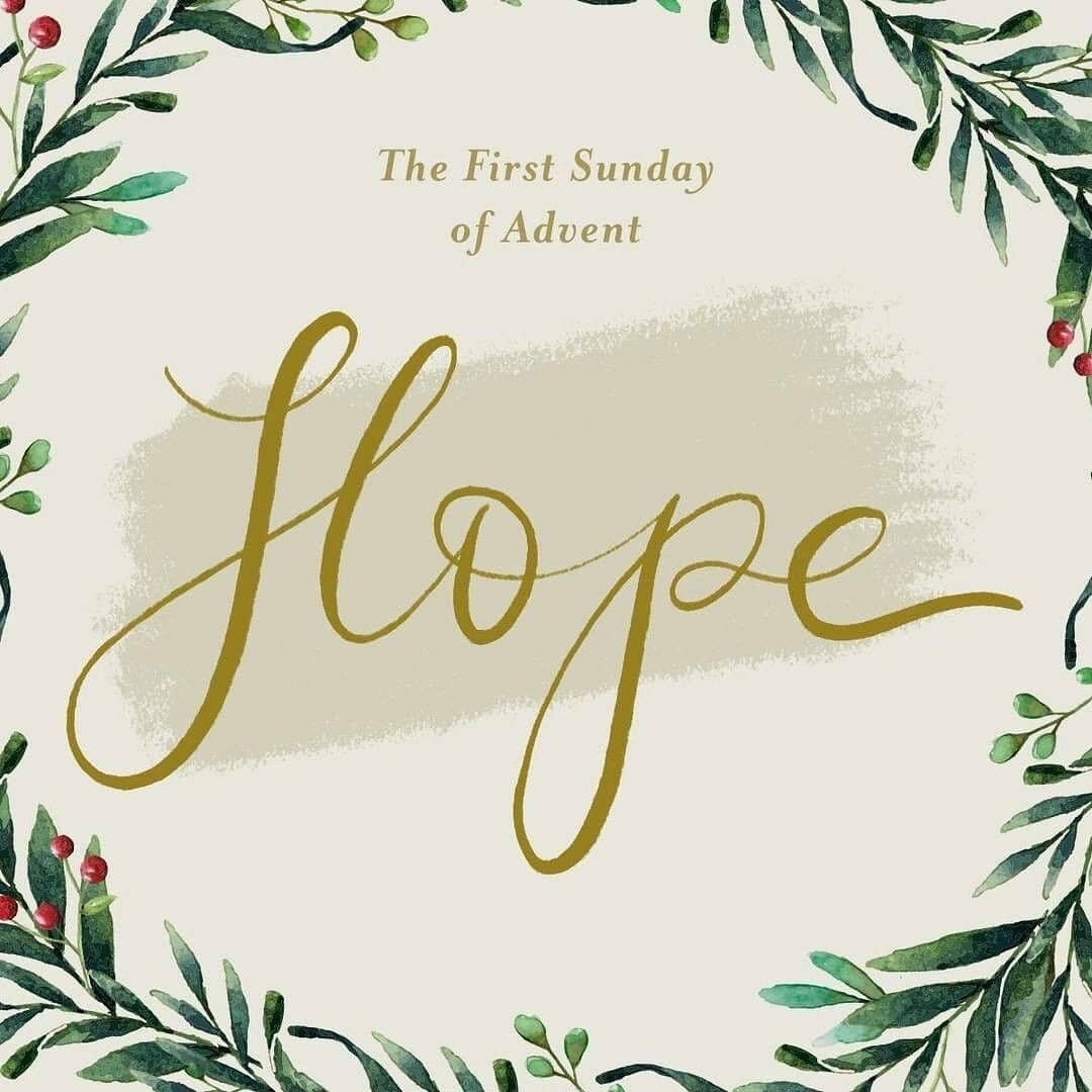 Highlights of the Week: Nov. 29 - Dec. 4