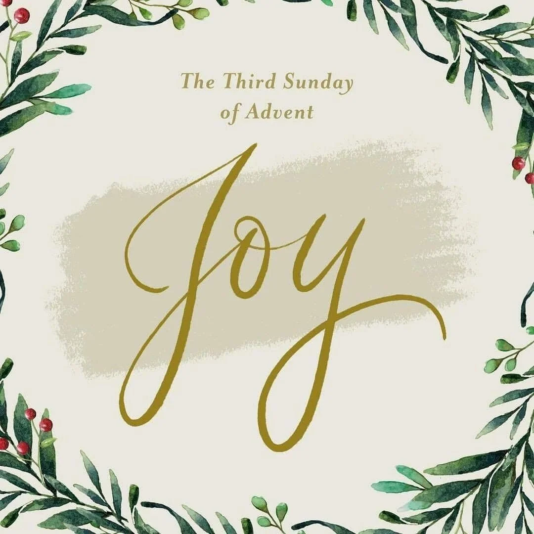Highlights of the Week: Dec. 14 - 18