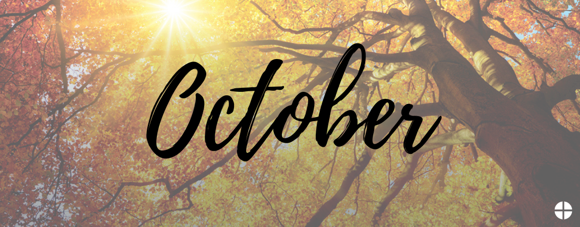 October 2021 Newsletter