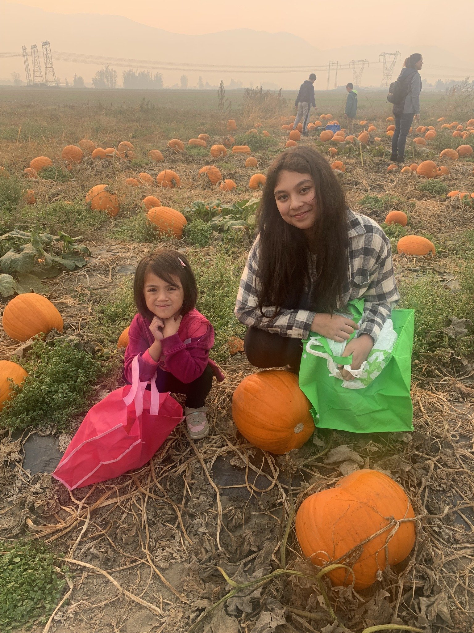 Highlights of the Week: Oct. 24 - 31