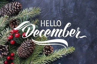 December 2022 Newsletter