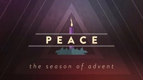 Highlights of the Week: Dec. 5 - 11